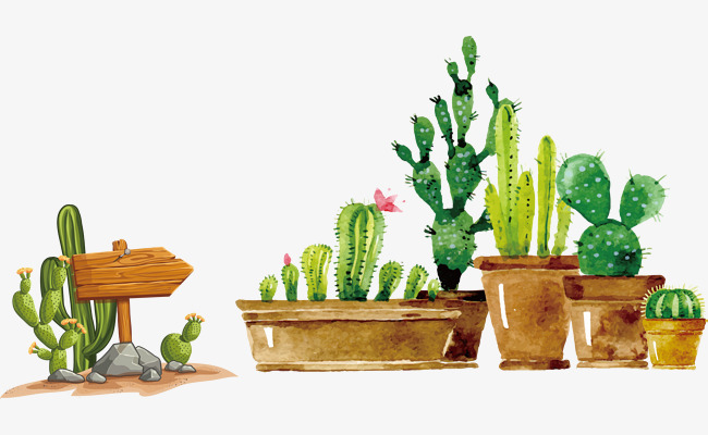 福建成人高考報(bào)名 注意事項(xiàng)