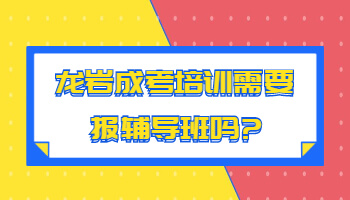 龍巖成考培訓(xùn)